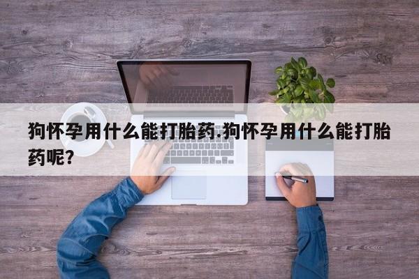 米非米索购买链接联系微信狗怀孕用什么能打胎药.狗怀孕用什么能打胎药呢？