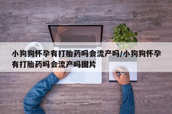 米非米索购买链接联系微信资讯 第17页