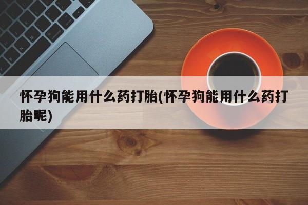 米非米索购买链接联系微信怀孕狗能用什么药打胎(怀孕狗能用什么药打胎呢)