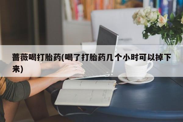 米非米索购买链接联系微信蔷薇喝打胎药(喝了打胎药几个小时可以掉下来)